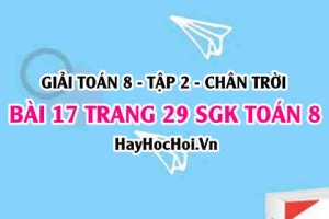Bài 17 trang 29 Toán 8 Tập 2 Chân trời sáng tạo: Đồ Thị Hàm Số Bậc Nhất